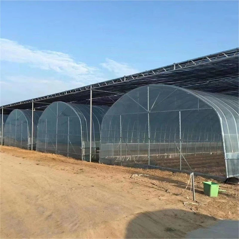 Nkaus Xwb Tsev Cog Khoom