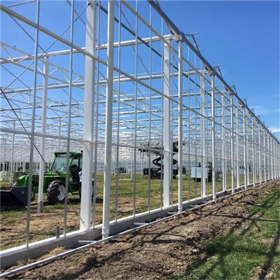 Tsev cog pob pob txha pob txha pob txha pob txha